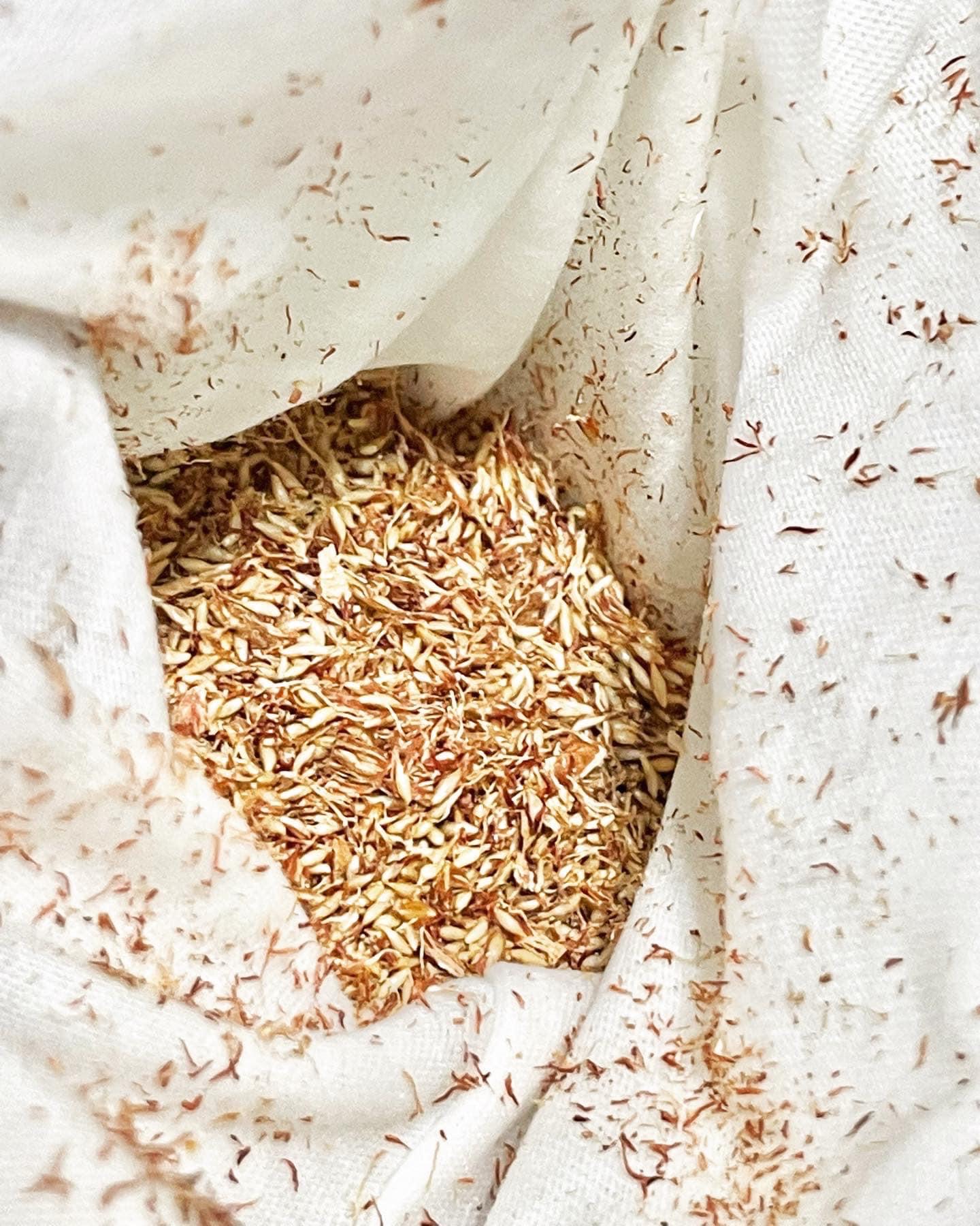 愛玉(材料包):圖片 3